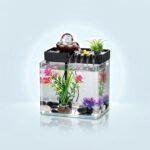 Aquarium